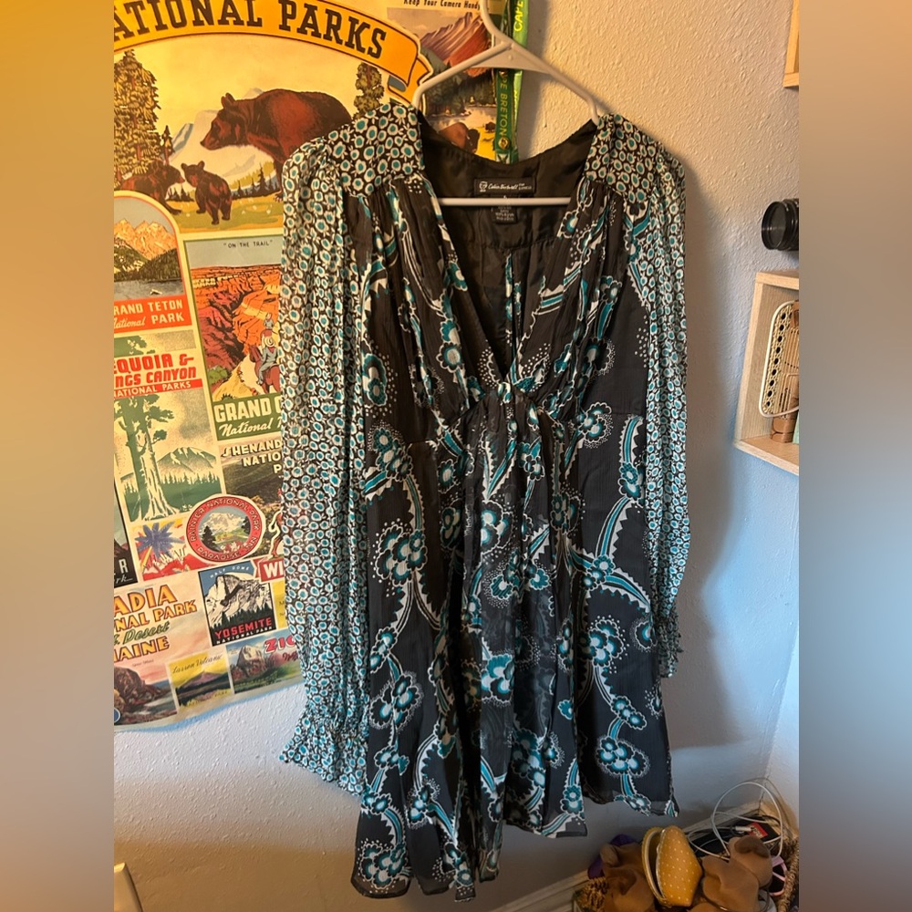 cecilia birtwell dress from express. v neckline with long sleeves